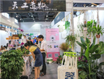 走進植物，享受美好——花點園藝亮相第十二屆杭州文博會
